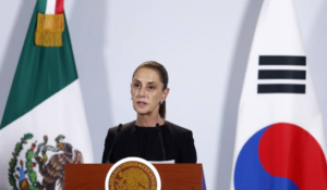 mexicorea-----